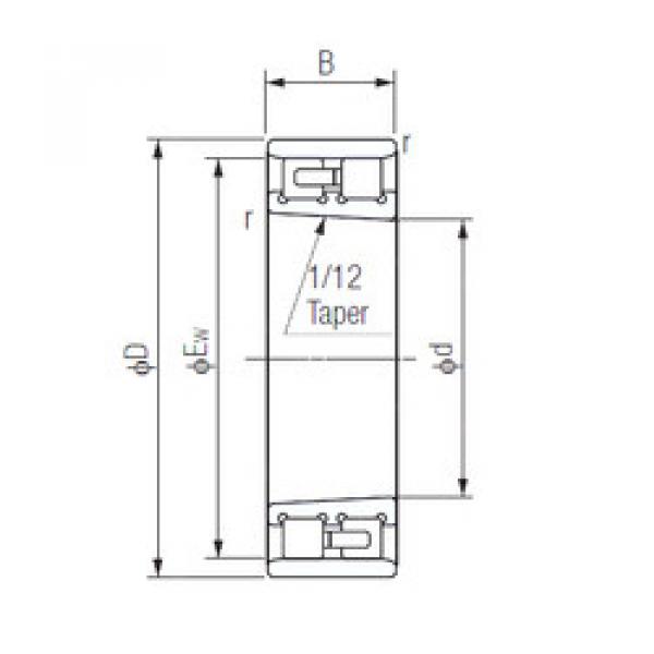 Cylindrical Bearing NN3005K NACHI #1 image