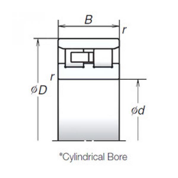 Cylindrical Bearing NN3006ZTB NSK #1 image