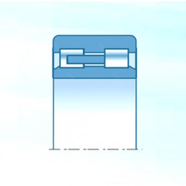 cylindrical bearing nomenclature TS3-NNU4938KD1NAP5 NTN #1 image