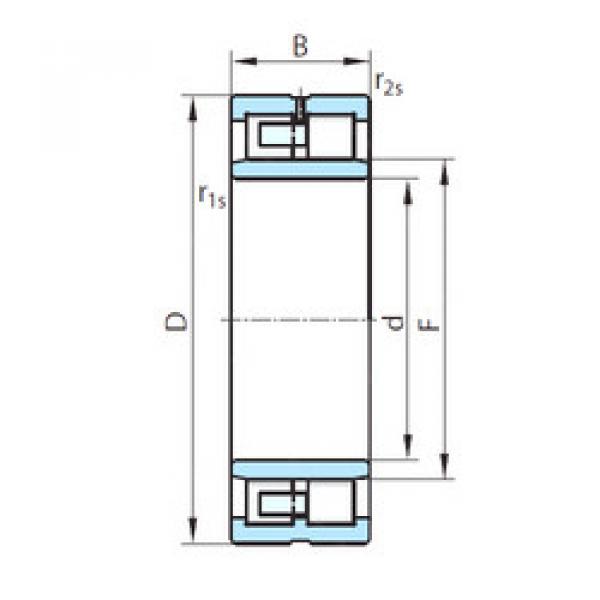 Cylindrical Roller Bearings Distributior NNU49/560KW33M PSL #1 image