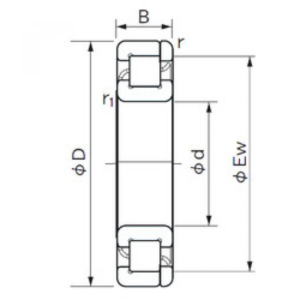 Cylindrical Roller Bearings Distributior NP 1005 NACHI #1 image