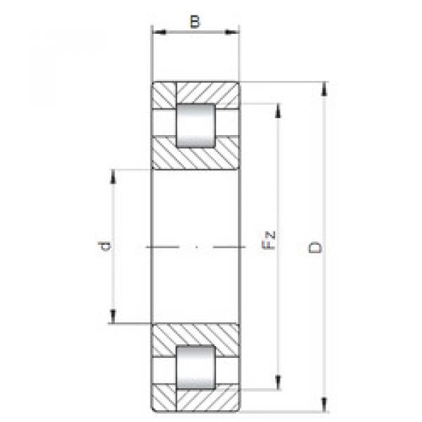 Cylindrical Roller Bearings Distributior NP10/500 CX #1 image