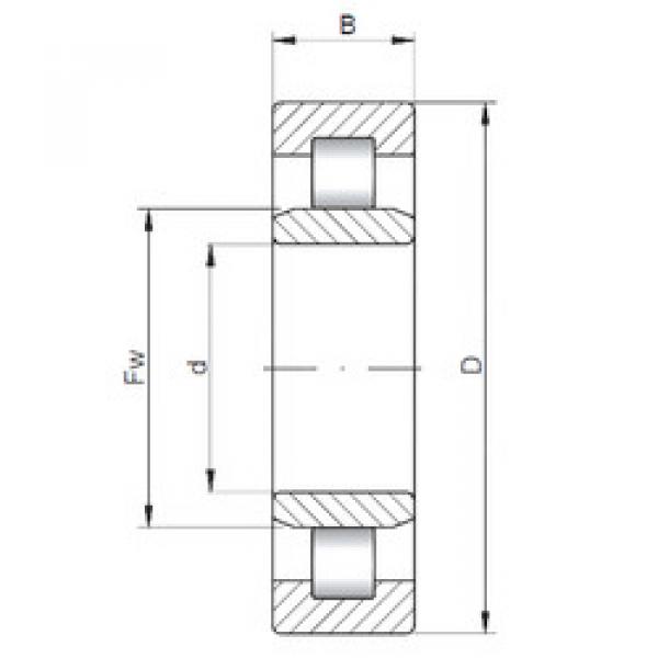 Cylindrical Roller Bearings Distributior NU10/560 CX #1 image