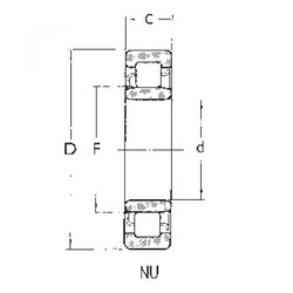 Cylindrical Roller Bearings Distributior NU1005 FBJ #1 image