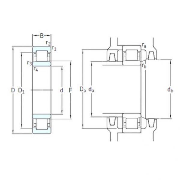 Cylindrical Roller Bearings Distributior NU1009ECP/HC5C3 SKF #1 image