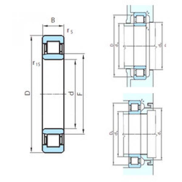 cylindrical bearing nomenclature PSL 412-300 PSL #1 image