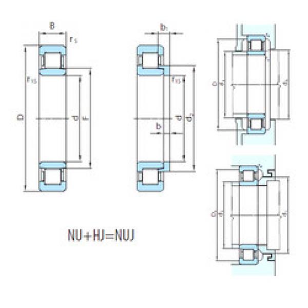 Cylindrical Roller Bearings Distributior NUJ1080 PSL #1 image
