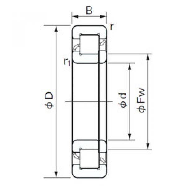 Cylindrical Roller Bearings Distributior NUP 1034 NACHI #1 image