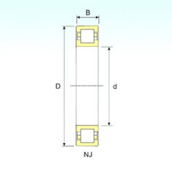 Cylindrical Roller Bearings Distributior NUP 205 ISB #1 image