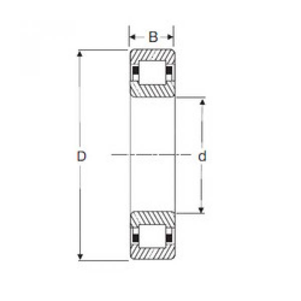 Cylindrical Roller Bearings Distributior NUP 204 SIGMA #1 image