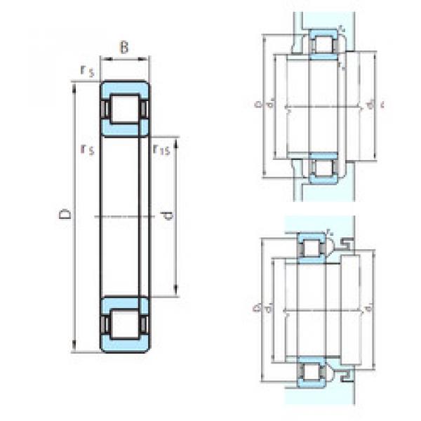 cylindrical bearing nomenclature NUP29/850 PSL #1 image