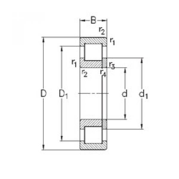 cylindrical bearing nomenclature NUP303-E-TVP3 NKE #1 image