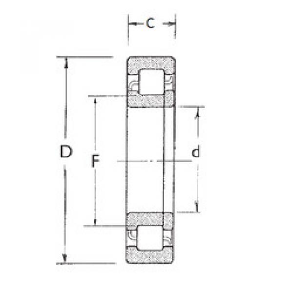 cylindrical bearing nomenclature NUP305 FBJ #1 image
