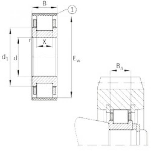 cylindrical bearing nomenclature RN205-E-MPBX FAG #1 image