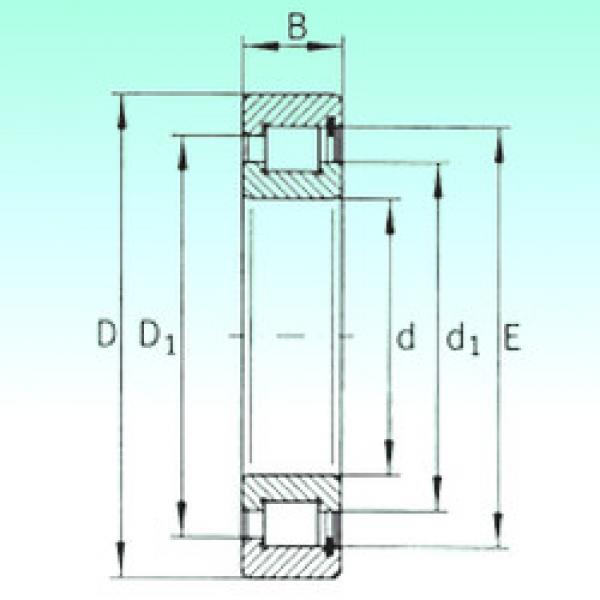 cylindrical bearing nomenclature SL181860 NBS #1 image