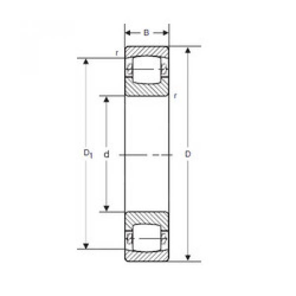 Spherical Roller Bearings 20204 SIGMA #1 image