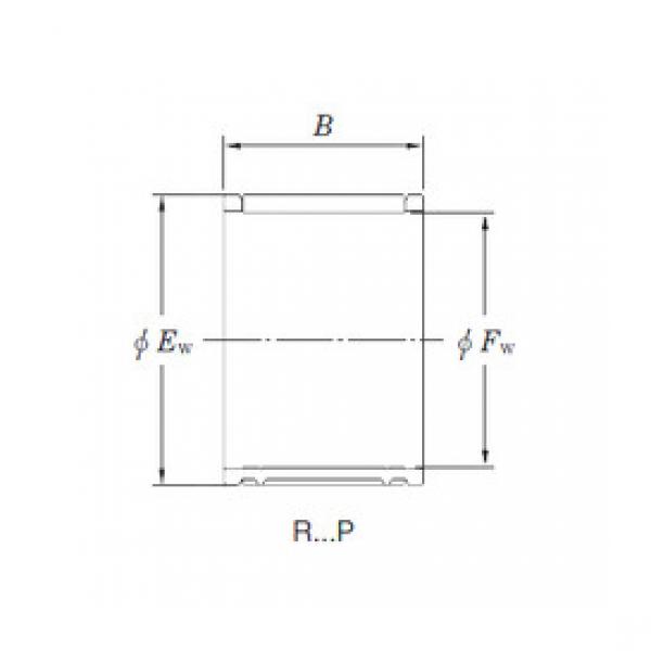 Needle Roller Bearing Manufacture R16/22,5EP KOYO #1 image