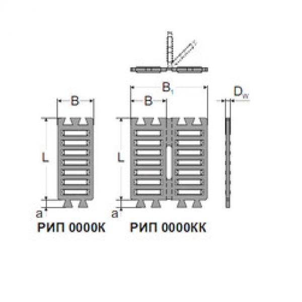 needle roller thrust bearing catalog FF 2025 ZW MPZ #1 image