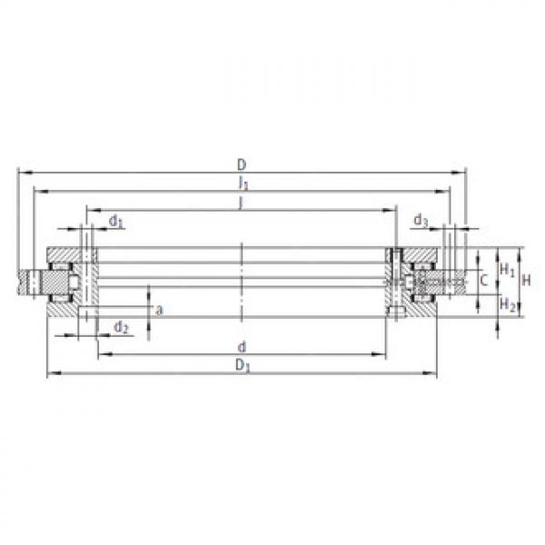 Complex Bearings YRT200 INA #1 image