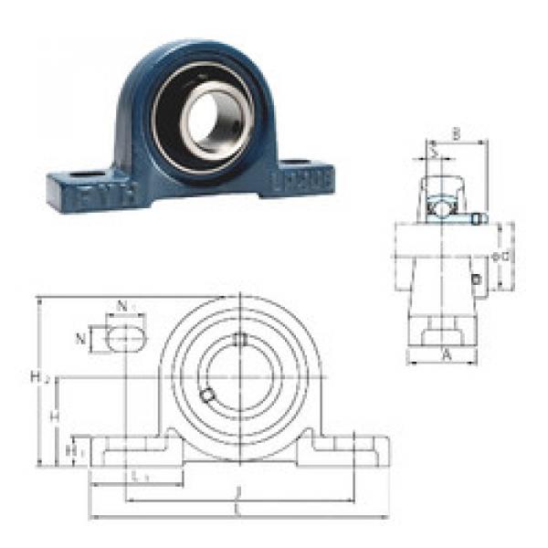 Bearing housed units BLP202-10 FYH #1 image