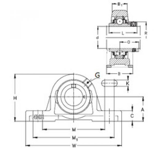 Bearing housed units PASE25-N NKE #1 image