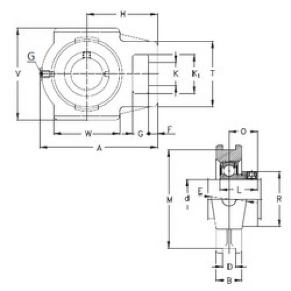 Bearing housed units PTUE55 NKE #1 image