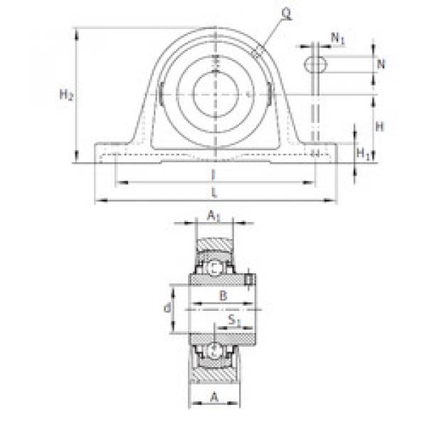 Bearing housed units RAKY1 INA #1 image