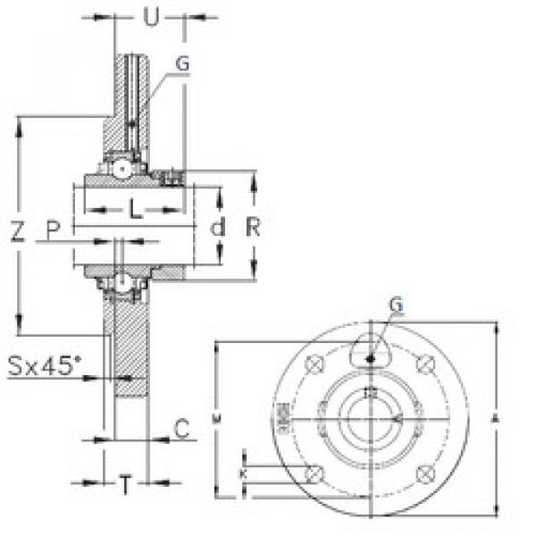 Bearing housed units RMEO100 NKE #1 image