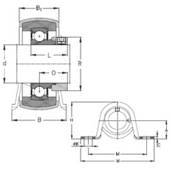 Bearing housed units RPB30 NKE #1 image