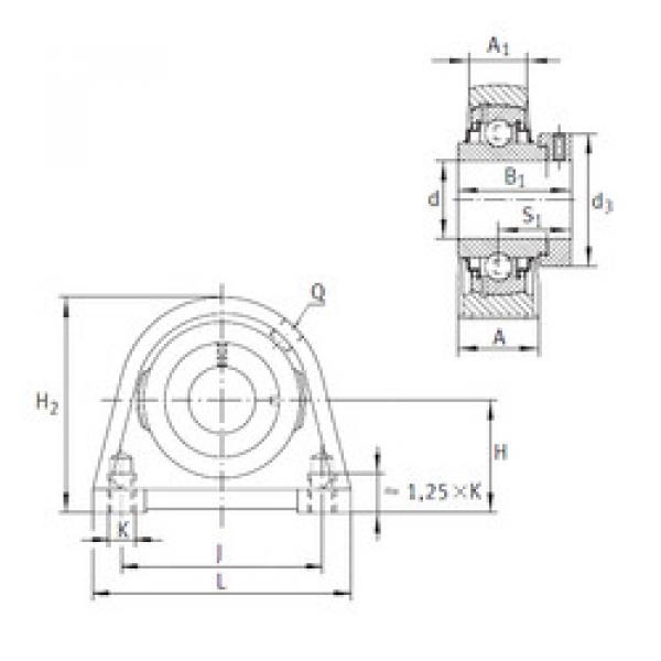 Bearing housed units RSHE20-N INA #1 image