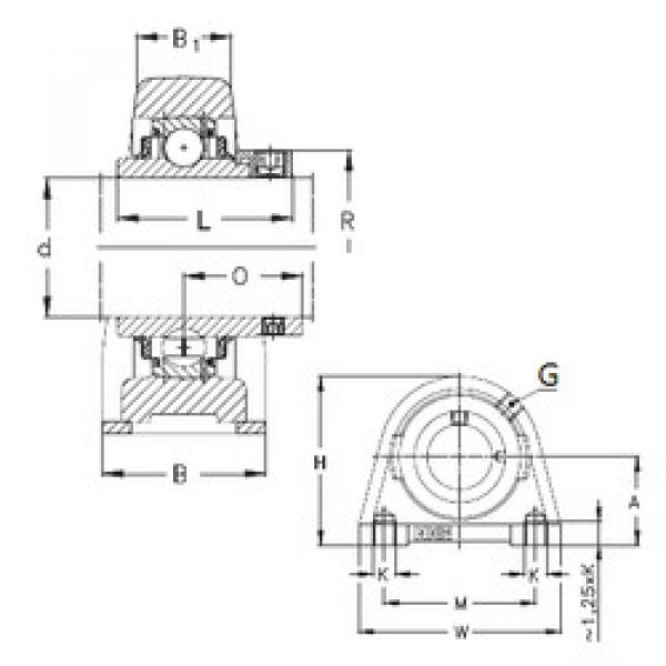 Bearing housed units RSHEY12 NKE #1 image