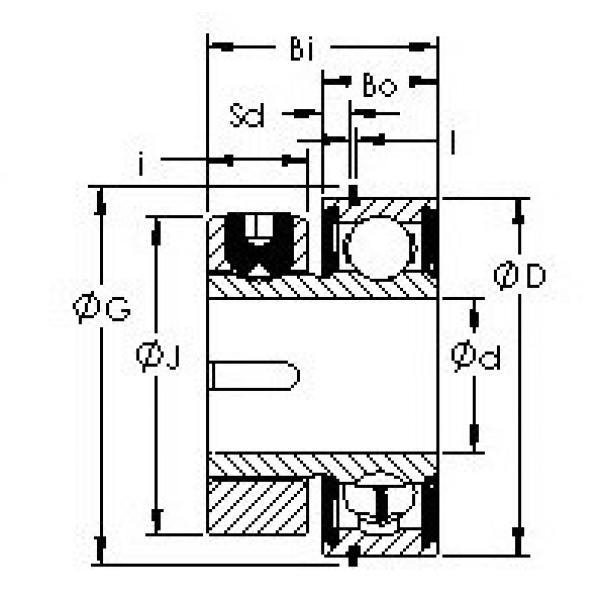Bearing housed units S1PPG7-4 AST #1 image