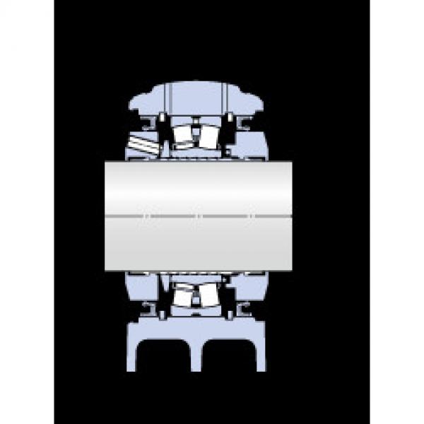 Bearing housed units SYNT 100 LTF SKF #1 image