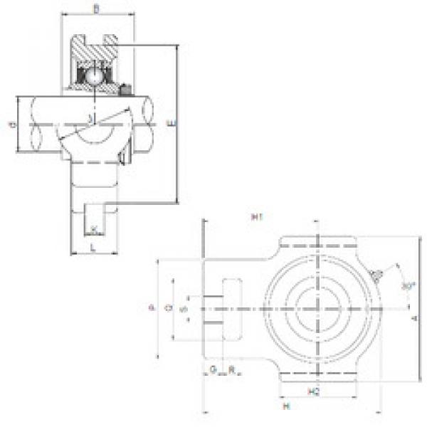 Bearing housed units UKT205 ISO #1 image