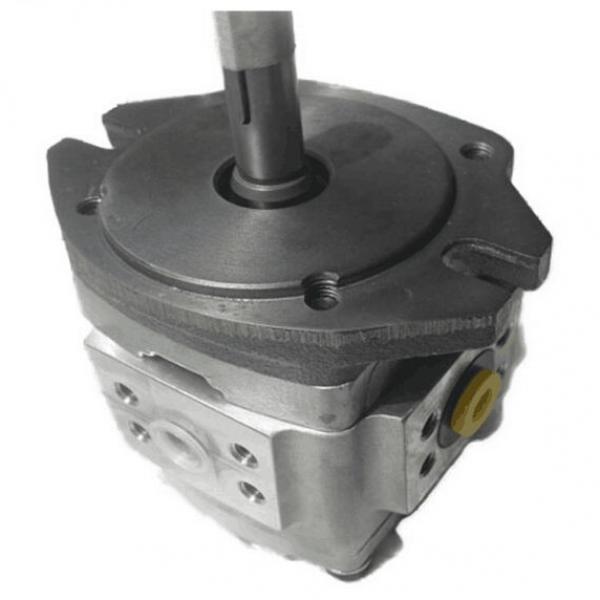 NACHI PVS Series Piston Pump PVD-0B-20P-6G-4939A     #1 image