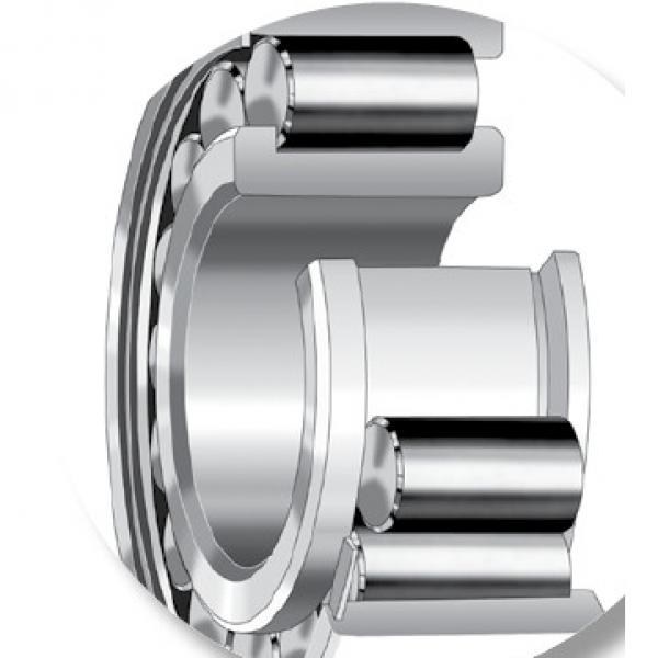 CYLINDRICAL ROLLER BEARINGS one-row STANDARD SERIES 170RF93 #2 image