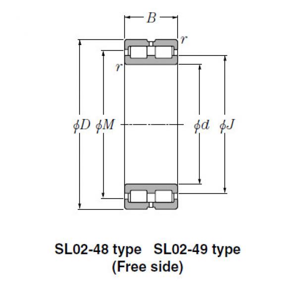 SL Type Cylindrical Roller Bearings NTN SL02-4922 #1 image