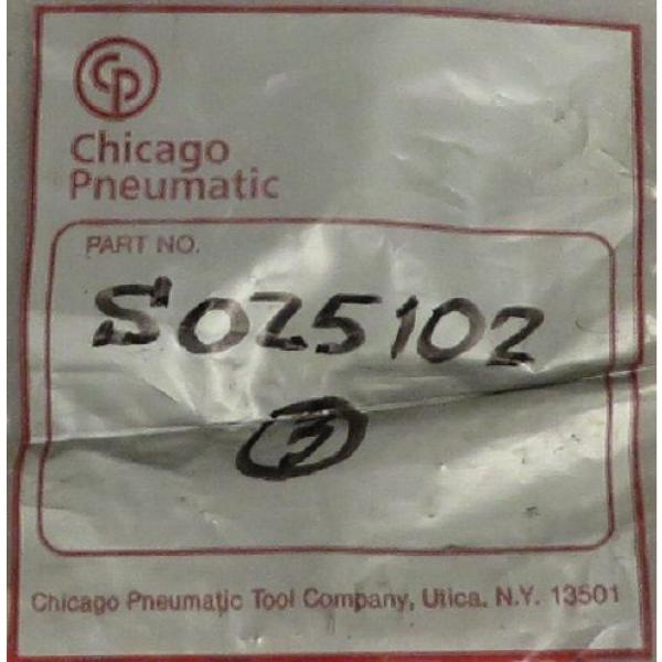 CHICAGO PNEUMATIC / FAG Bearing P/N: S025102 #5 image